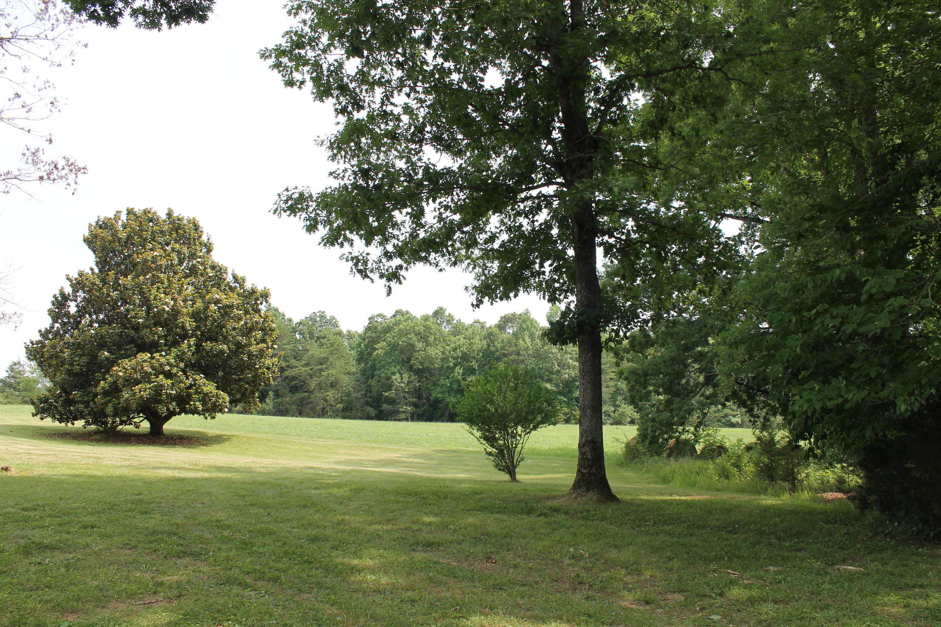 13753 West Gretna Road Sandy Level, VA 24161 - Photo 94 of 99 114_QuarlesEstate_FrontYardFieldMagnolia