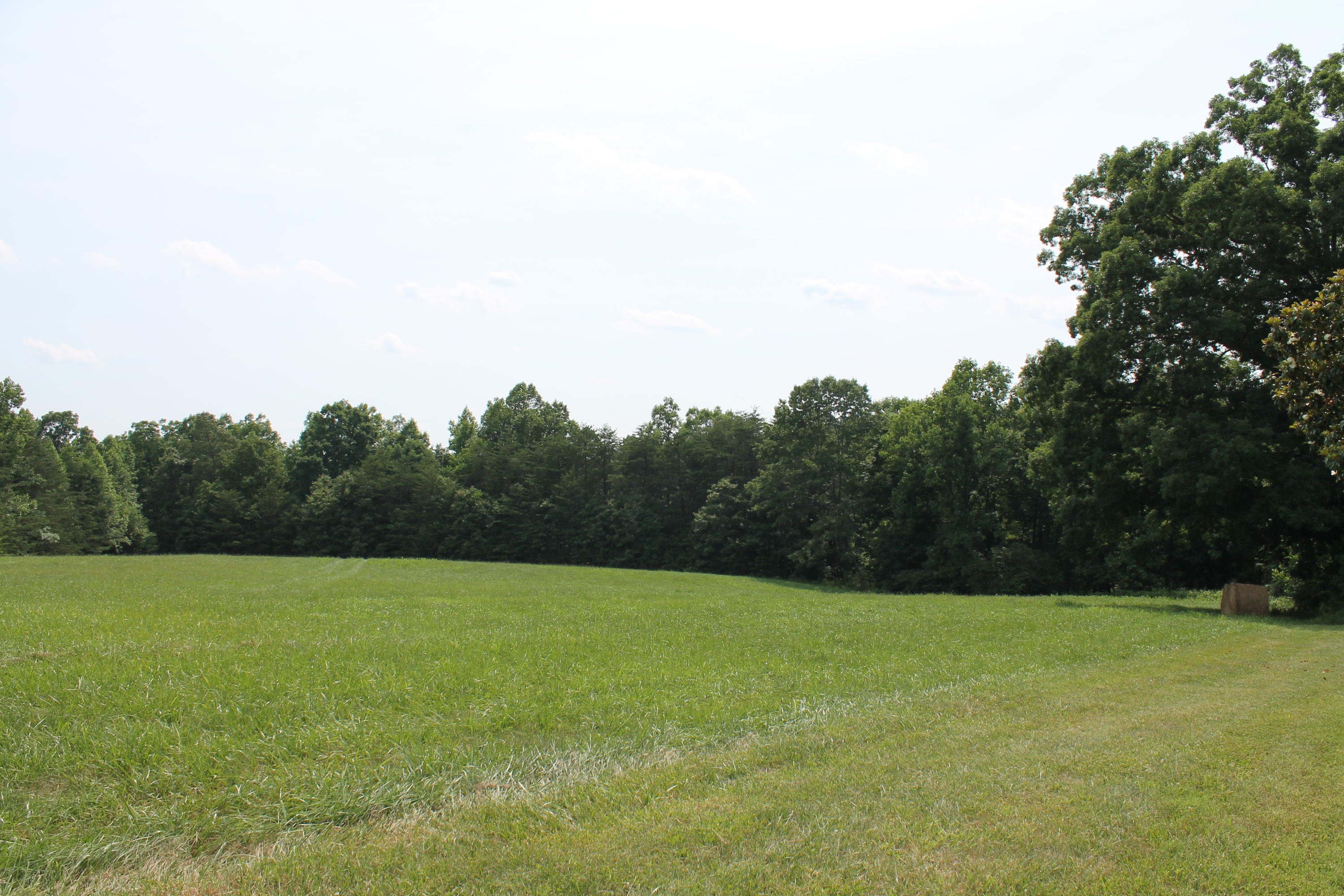 13753 West Gretna Road Sandy Level, VA 24161 - Photo 96 of 99 a view of a field with a trees in the background