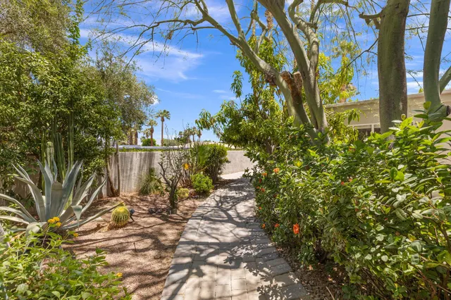 a view of a yard with plants and trees