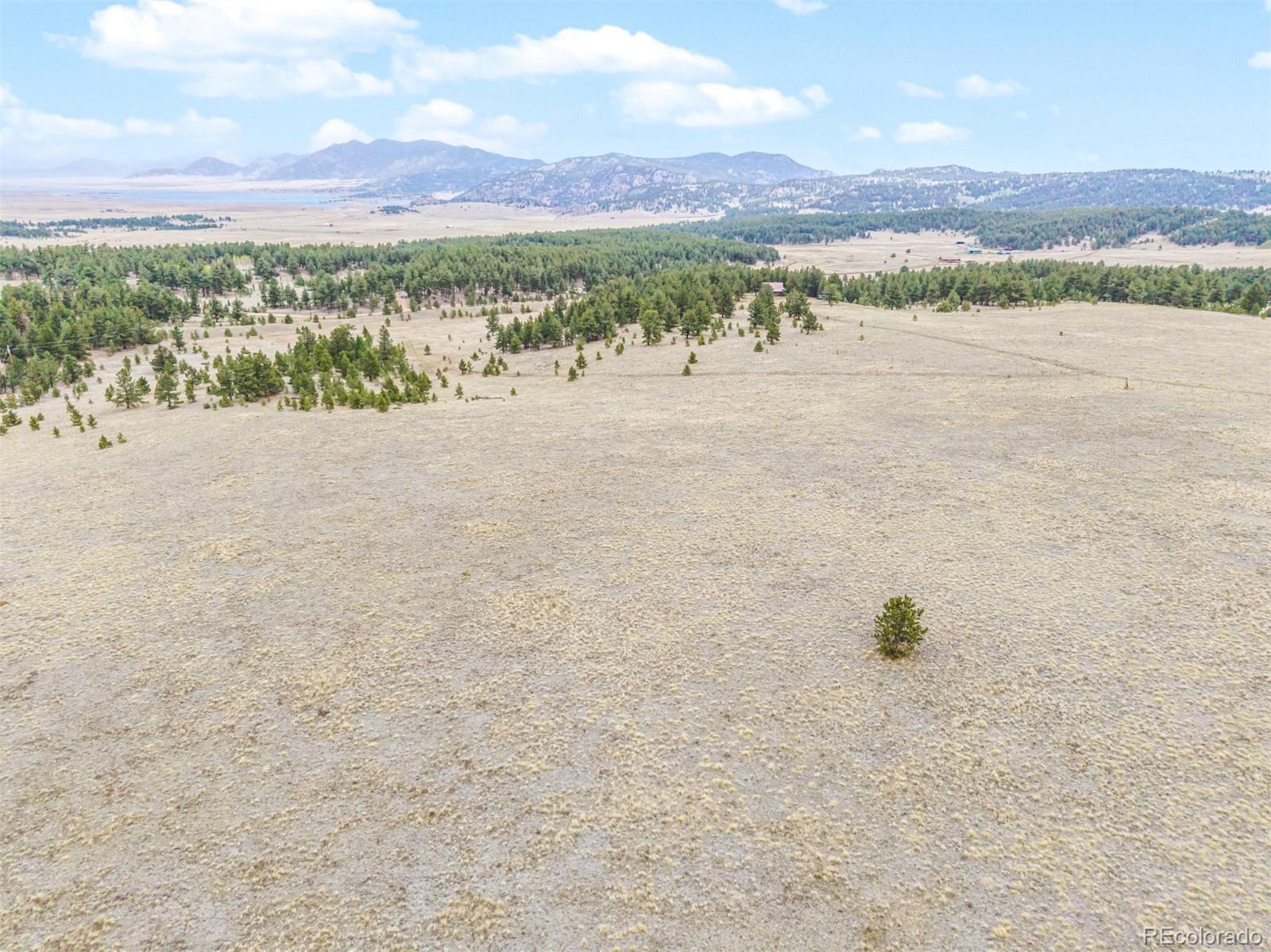 0 Ranger Station Road Florissant, CO 80816 - Photo 33 of 38 Gallery Image 33