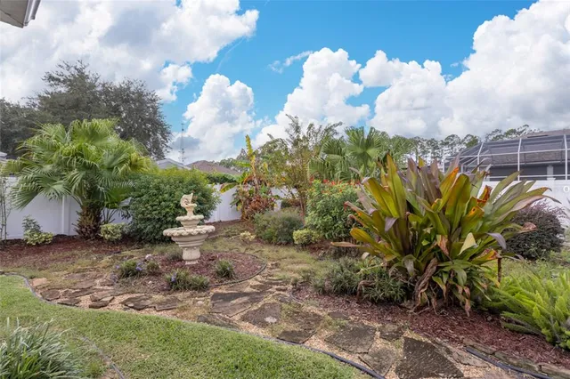 a view of a yard with plants and trees