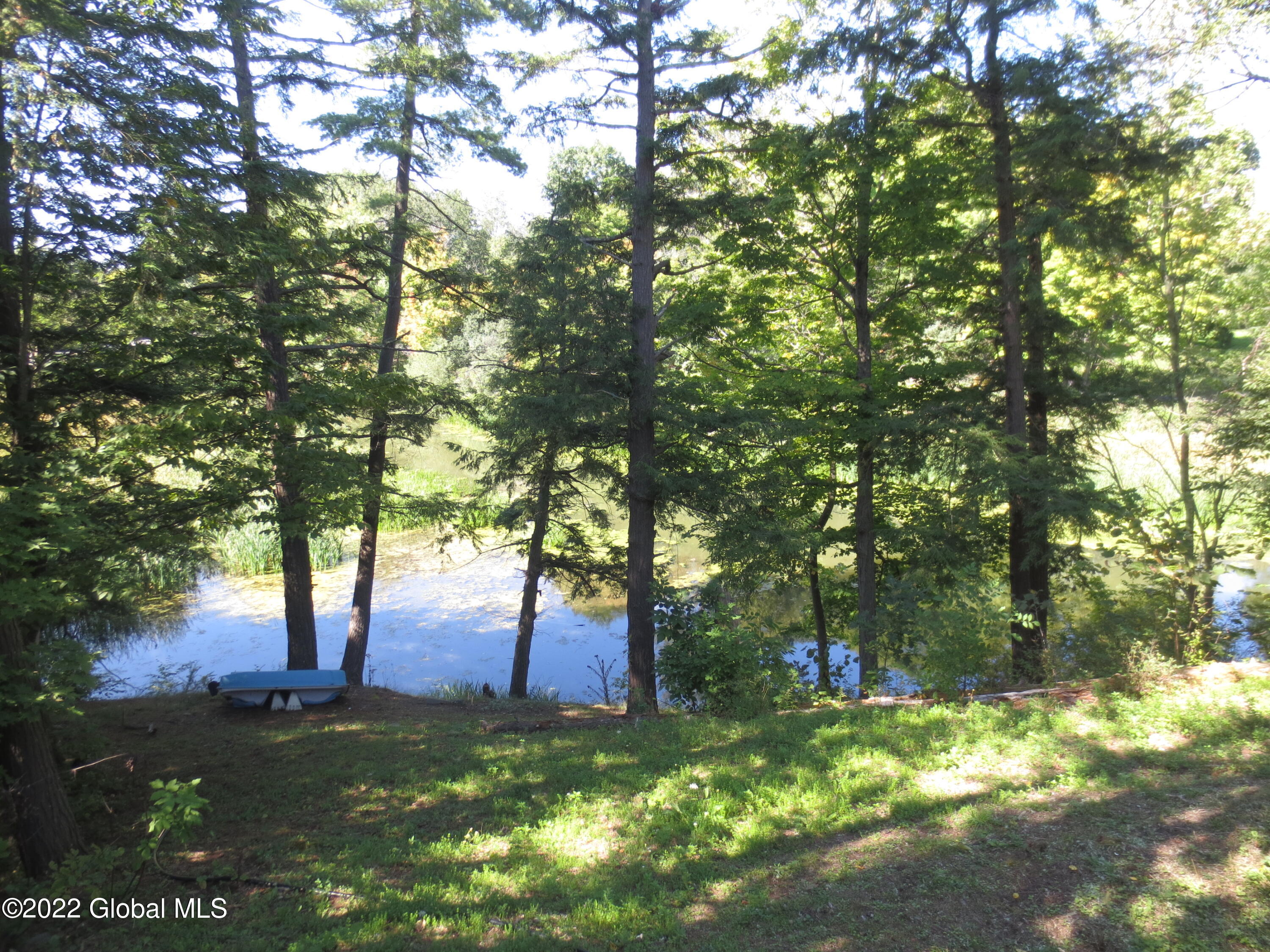 1157 Krumkill Road New Scotland, NY 12159 - Photo 33 of 47 IMG_7832