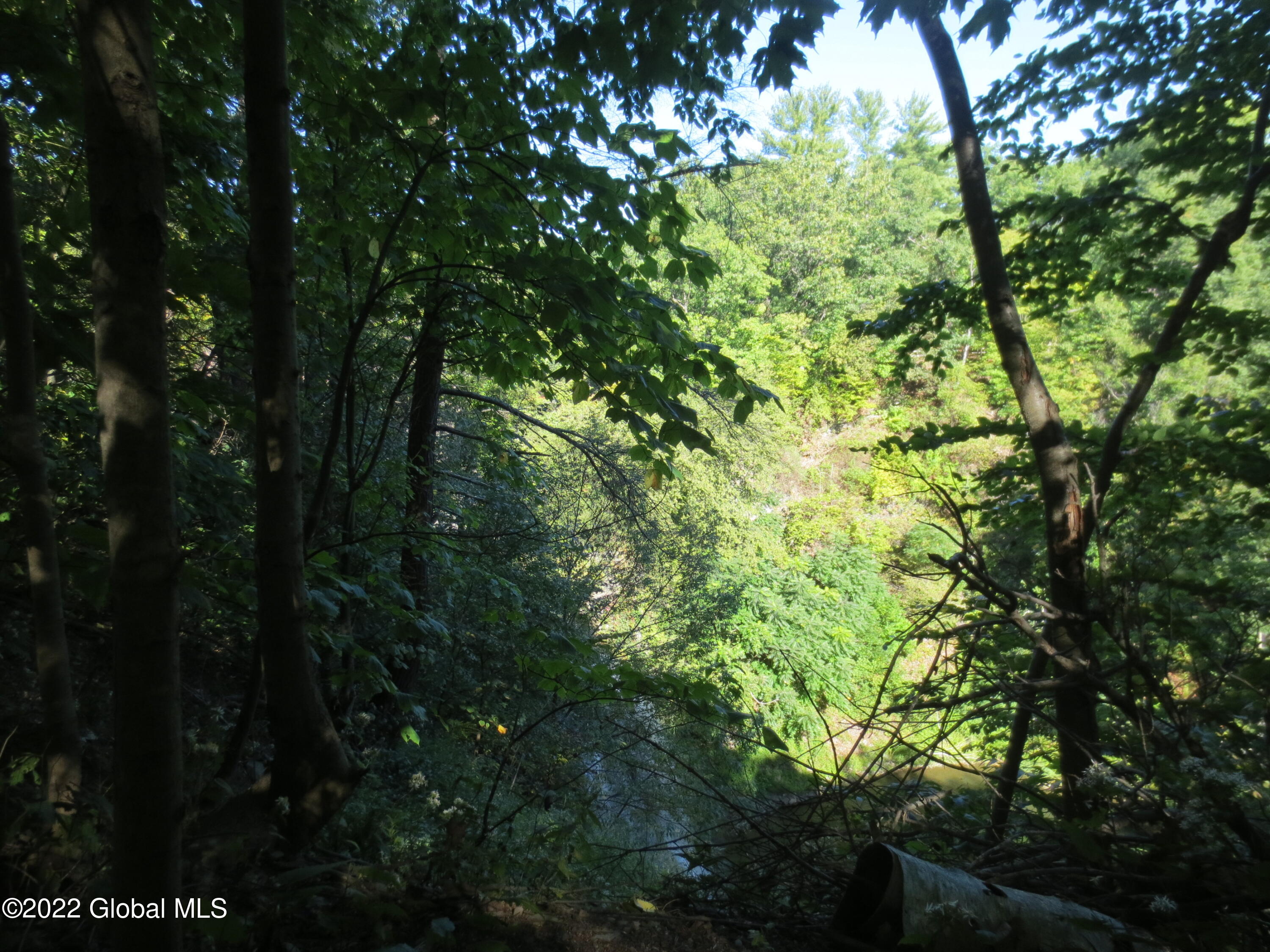 1157 Krumkill Road New Scotland, NY 12159 - Photo 44 of 47 IMG_7903