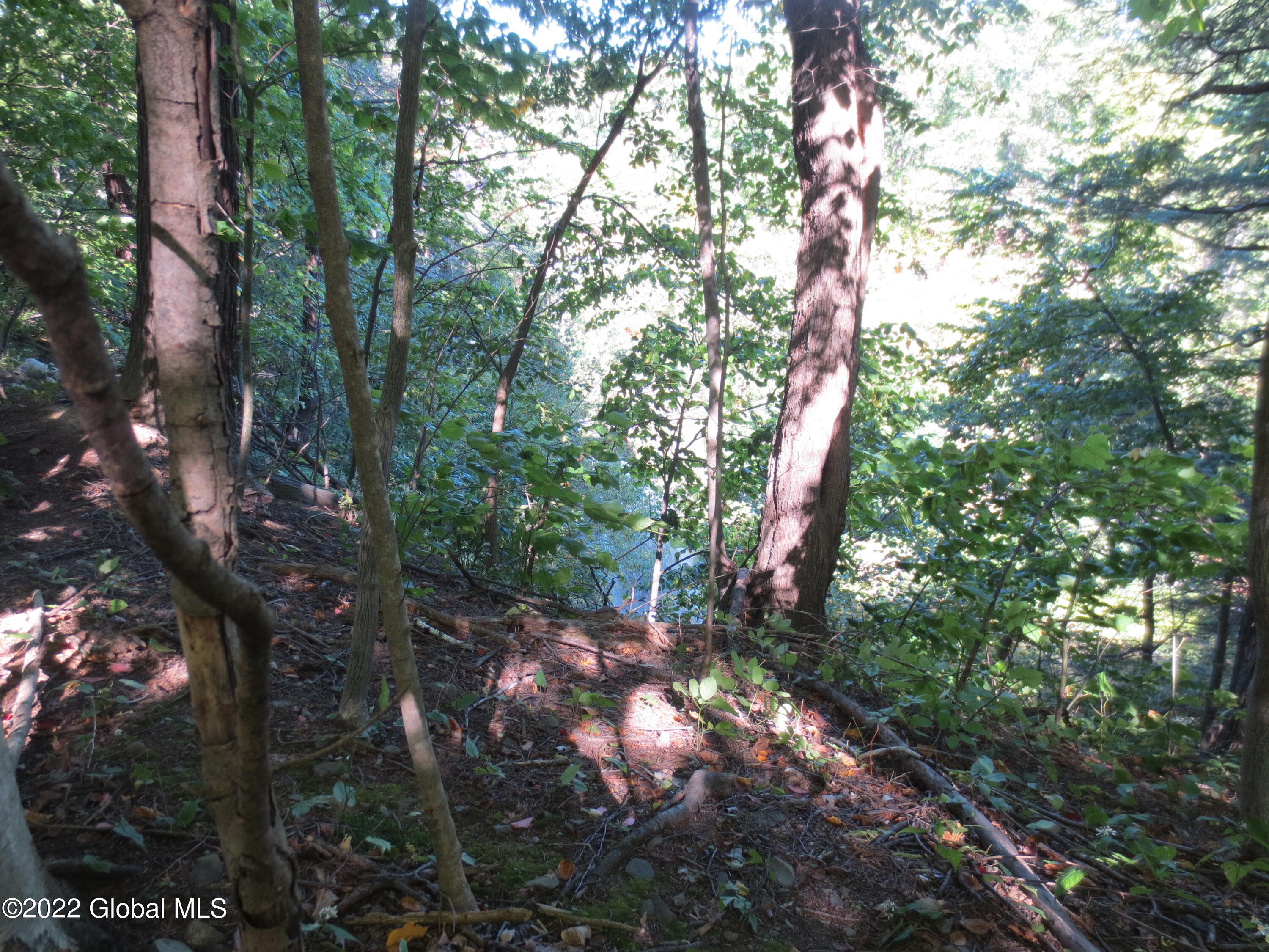 1157 Krumkill Road New Scotland, NY 12159 - Photo 45 of 47 IMG_7905