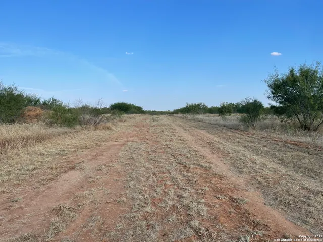 a view of a field with trees in background