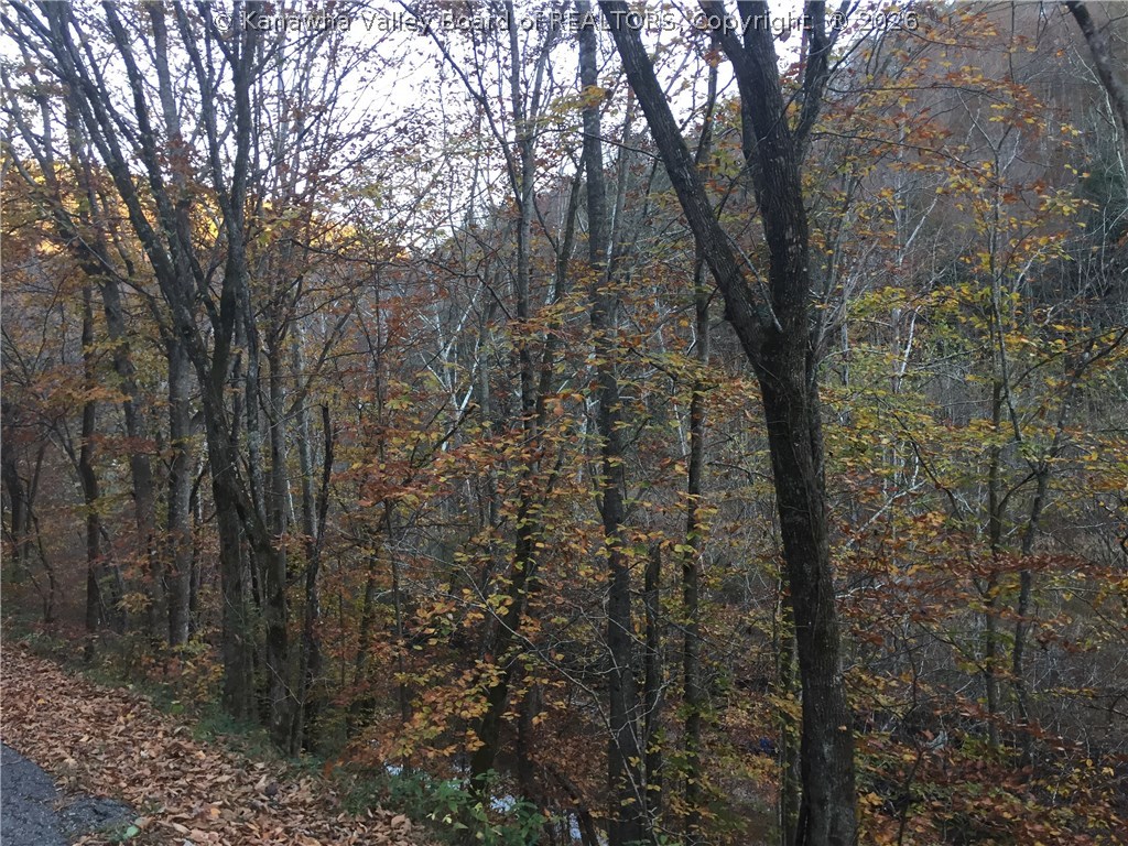 1 Guyan River Road Harts, WV 25524 - Photo 5 of 7 Gallery Image 5