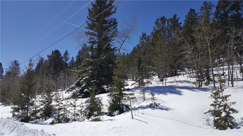Lot 499 Redhill Road Fairplay, CO 80440 - Photo 3 of 32 Gallery Image 3
