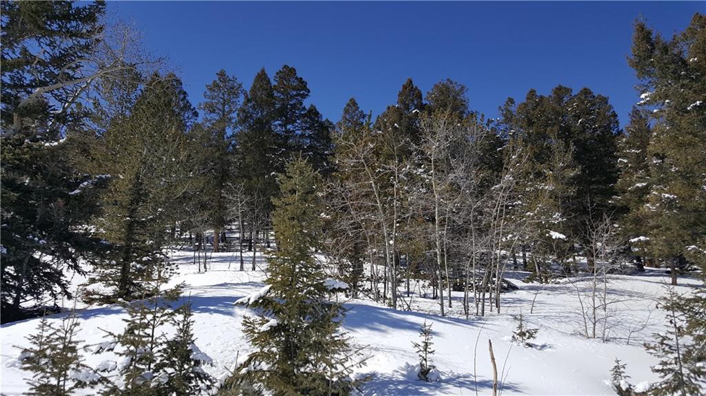 Lot 499 Redhill Road Fairplay, CO 80440 - Photo 5 of 32 Gallery Image 5