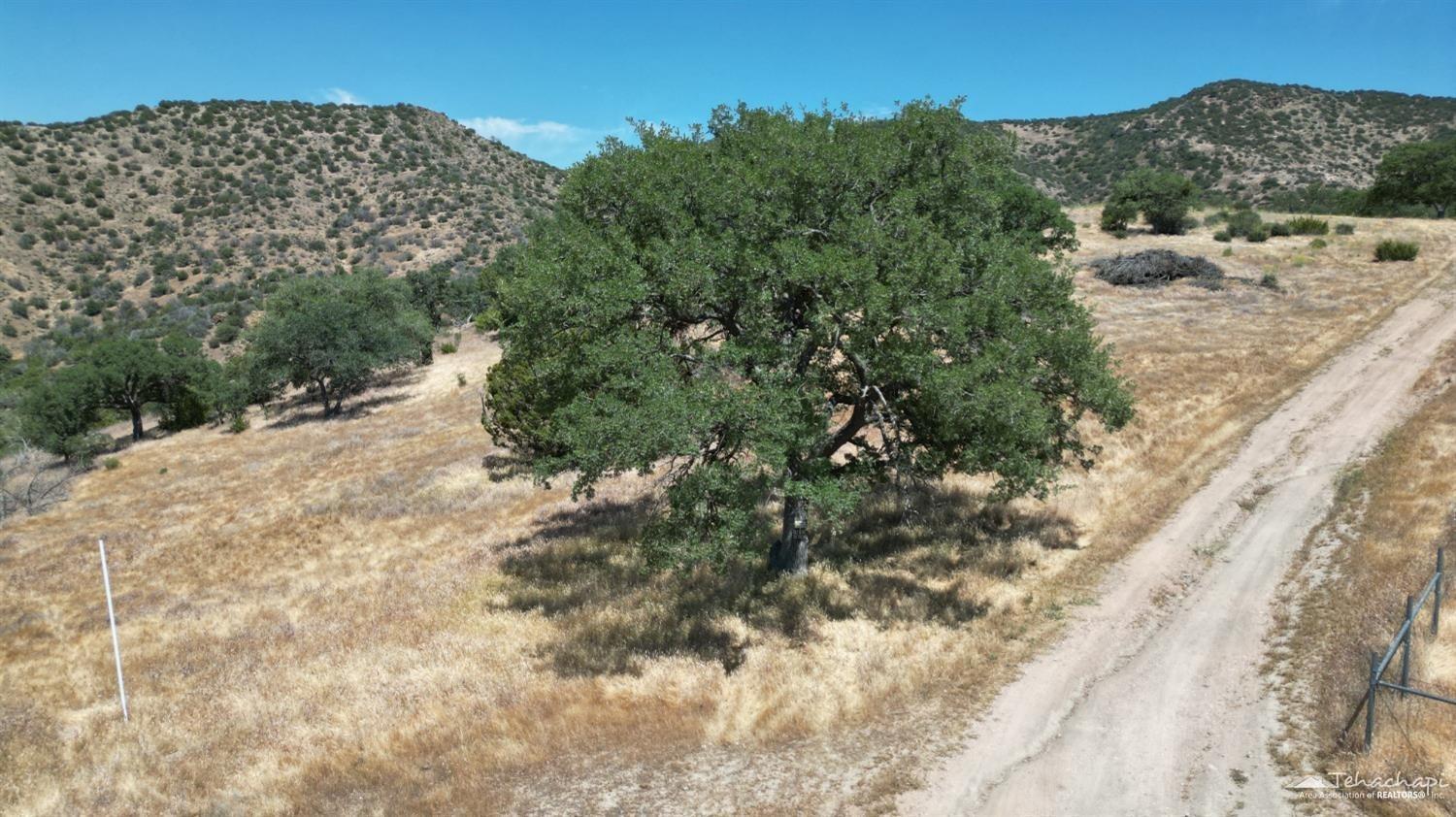 0 Hill Top Road Caliente, CA 93518 - Photo 7 of 11 Gallery Image 7