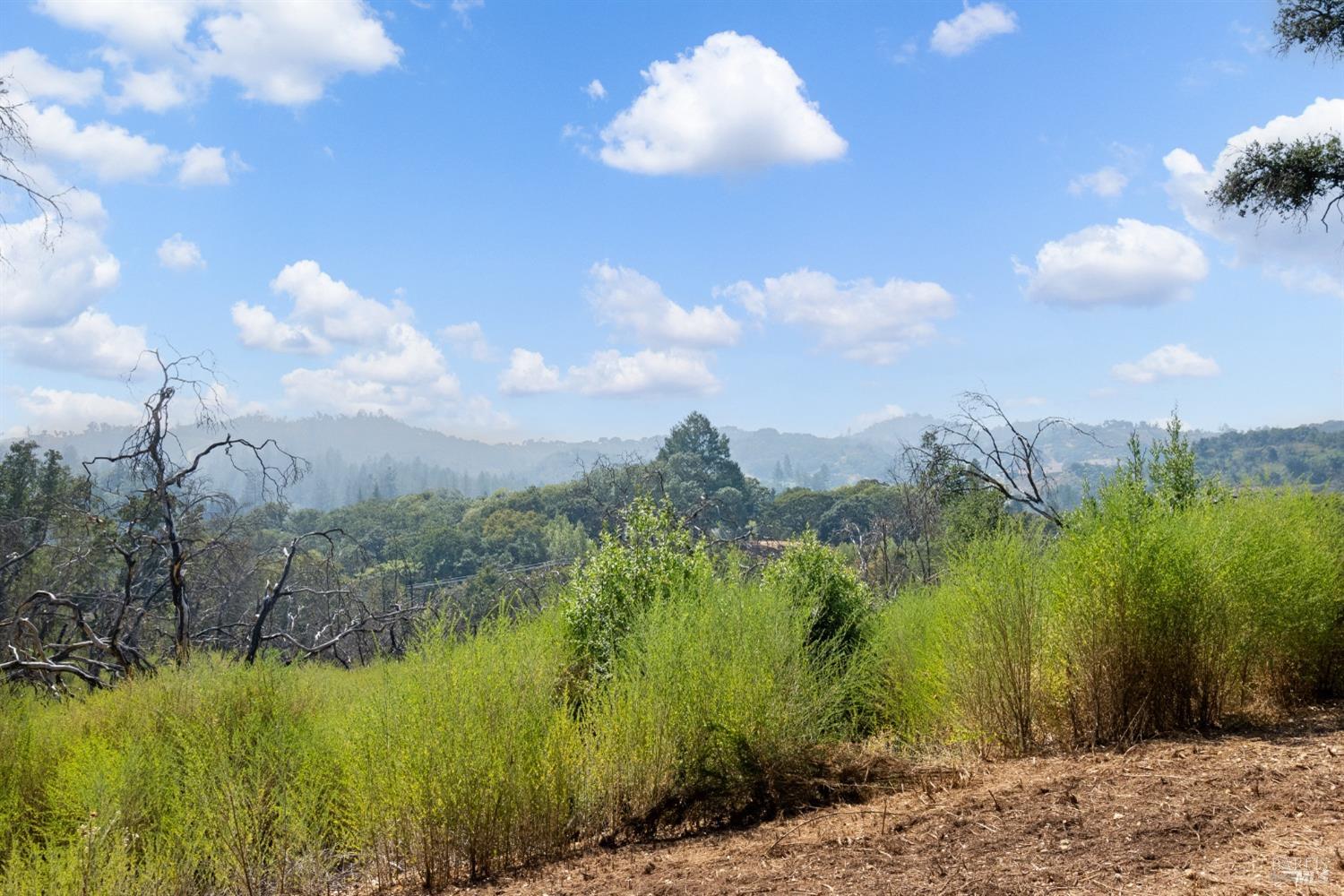 1990 Mark West Springs Road Santa Rosa, CA 95404 - Photo 64 of 65