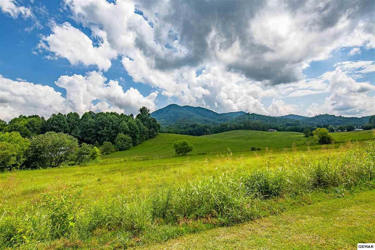 39693975 Wears Valley Road Sevierville, TN 37863 - Photo 14 of 14