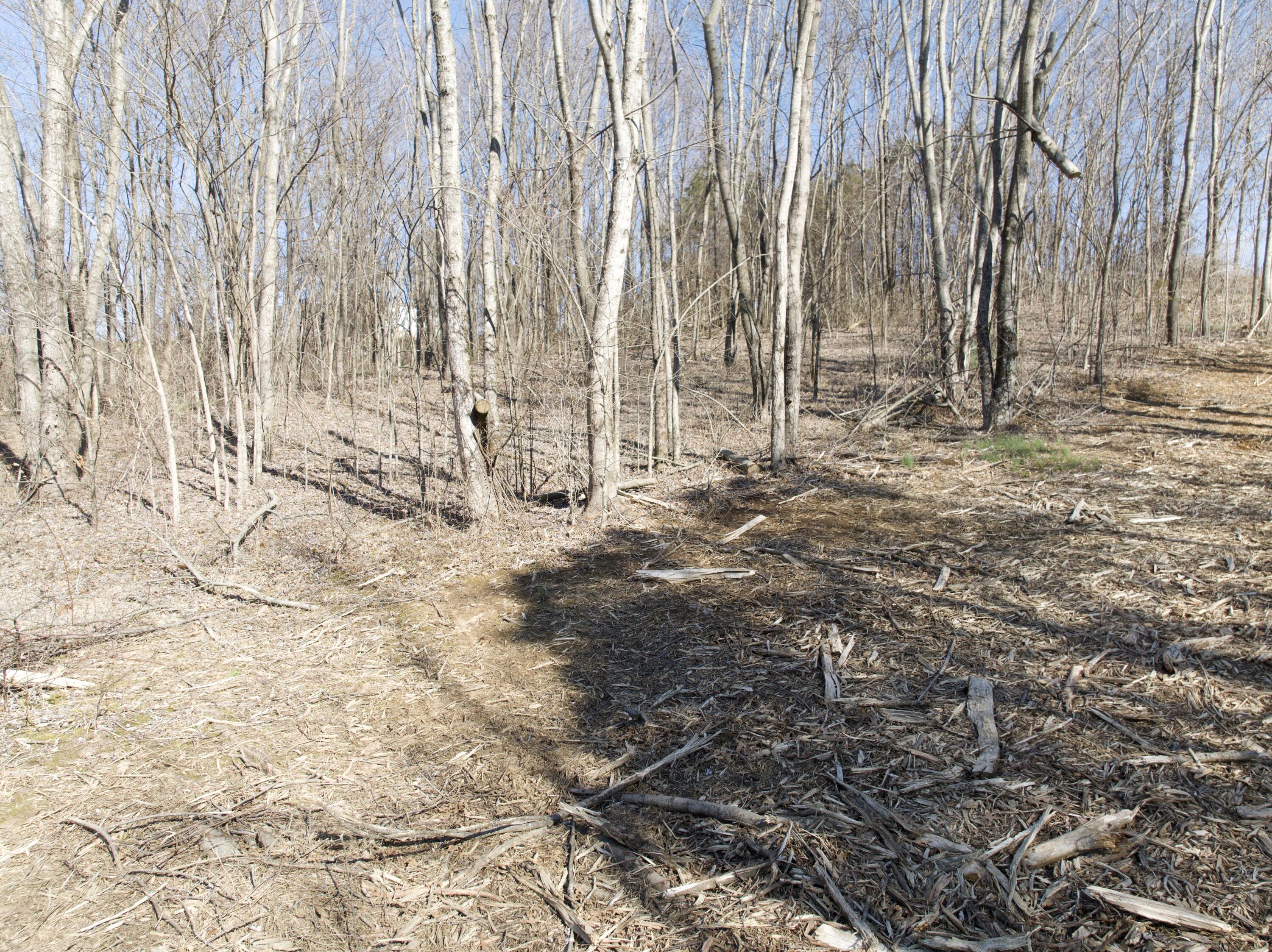 85 Buncombe-Wheeldon Road Science Hill, KY 42553 - Photo 15 of 16 DJI_20250227111112_0071_D_ND16-Enhanced-