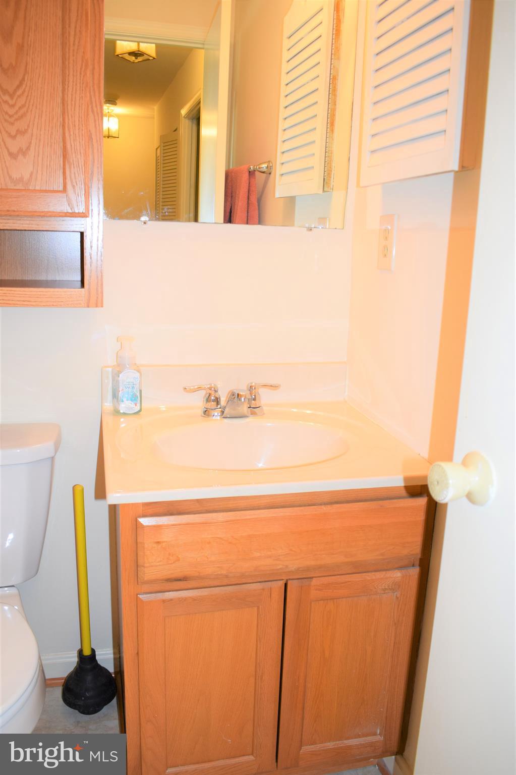 3294 Ryon Court Waldorf, MD 20601 - Photo 36 of 46 Full bathroom cabinet storage