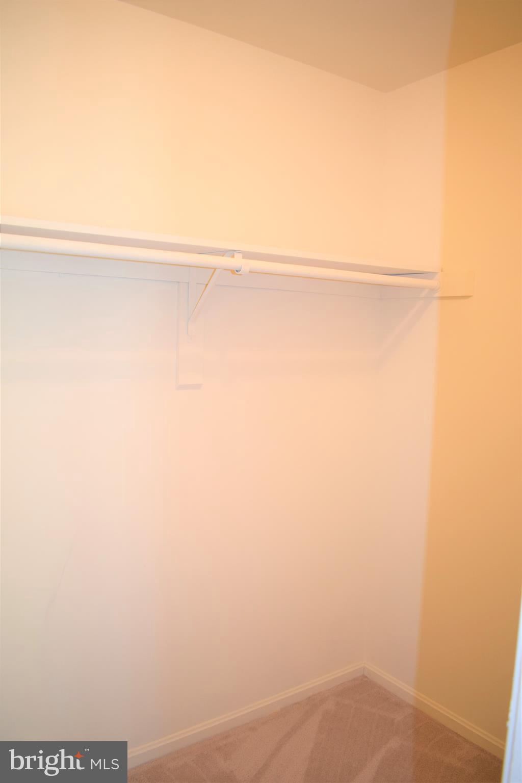 3294 Ryon Court Waldorf, MD 20601 - Photo 44 of 46 Master bedroom walk in closet