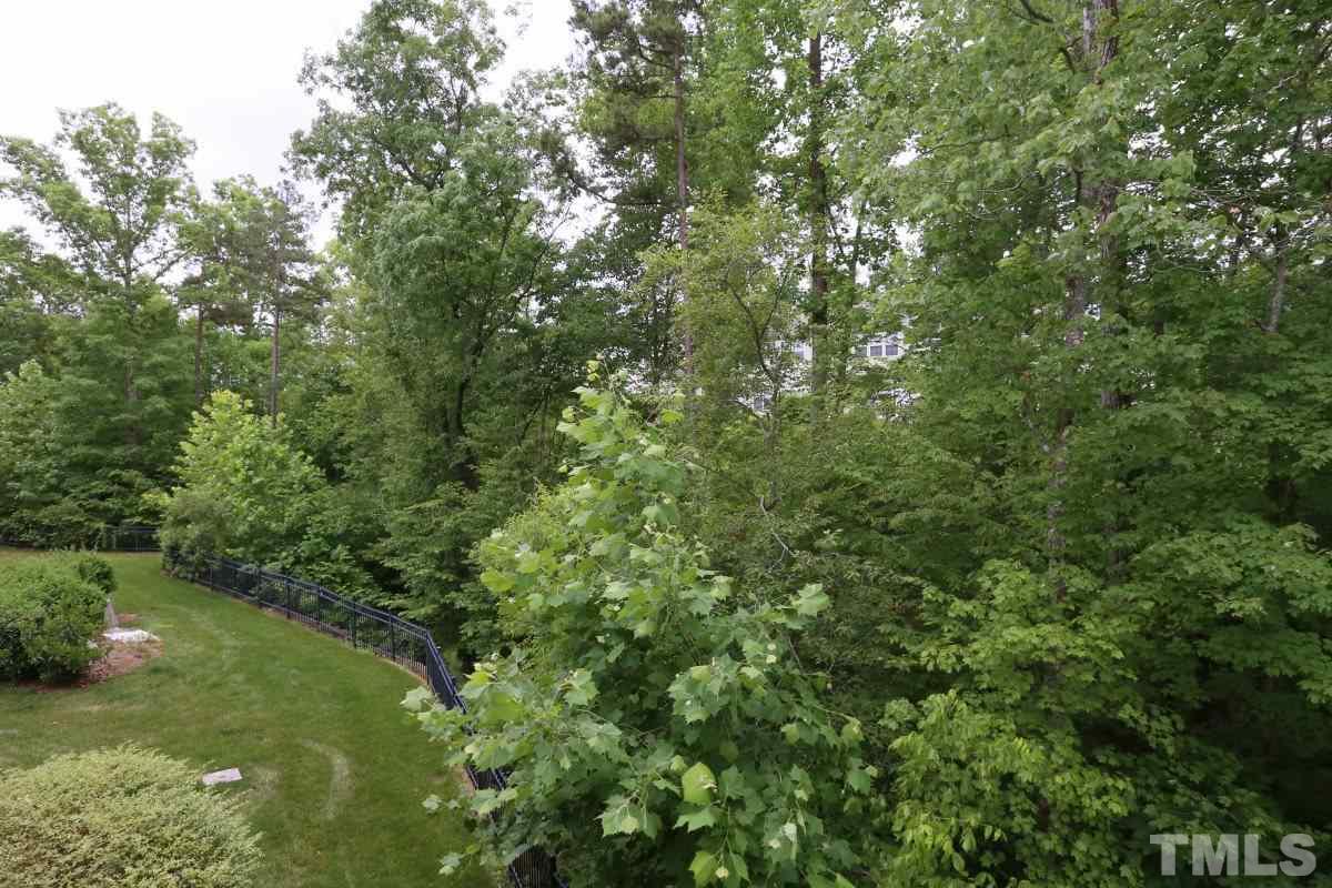 226 Cedar Elm Road Durham, NC 27713 - Photo 23 of 25 a view of a forest