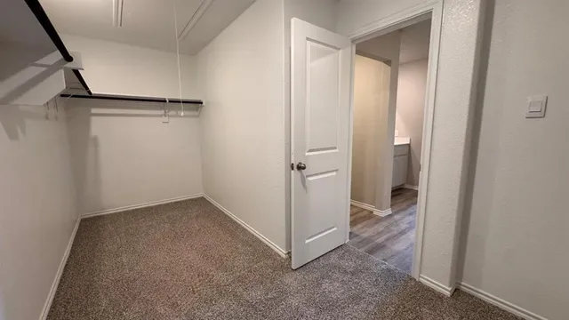 a bathroom with a shower and a sink