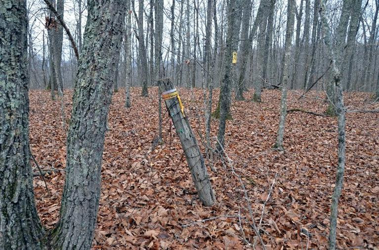 1709 Macedonia Road Irvine, KY 40336 - Photo 68 of 87 The property line shares the middle of t