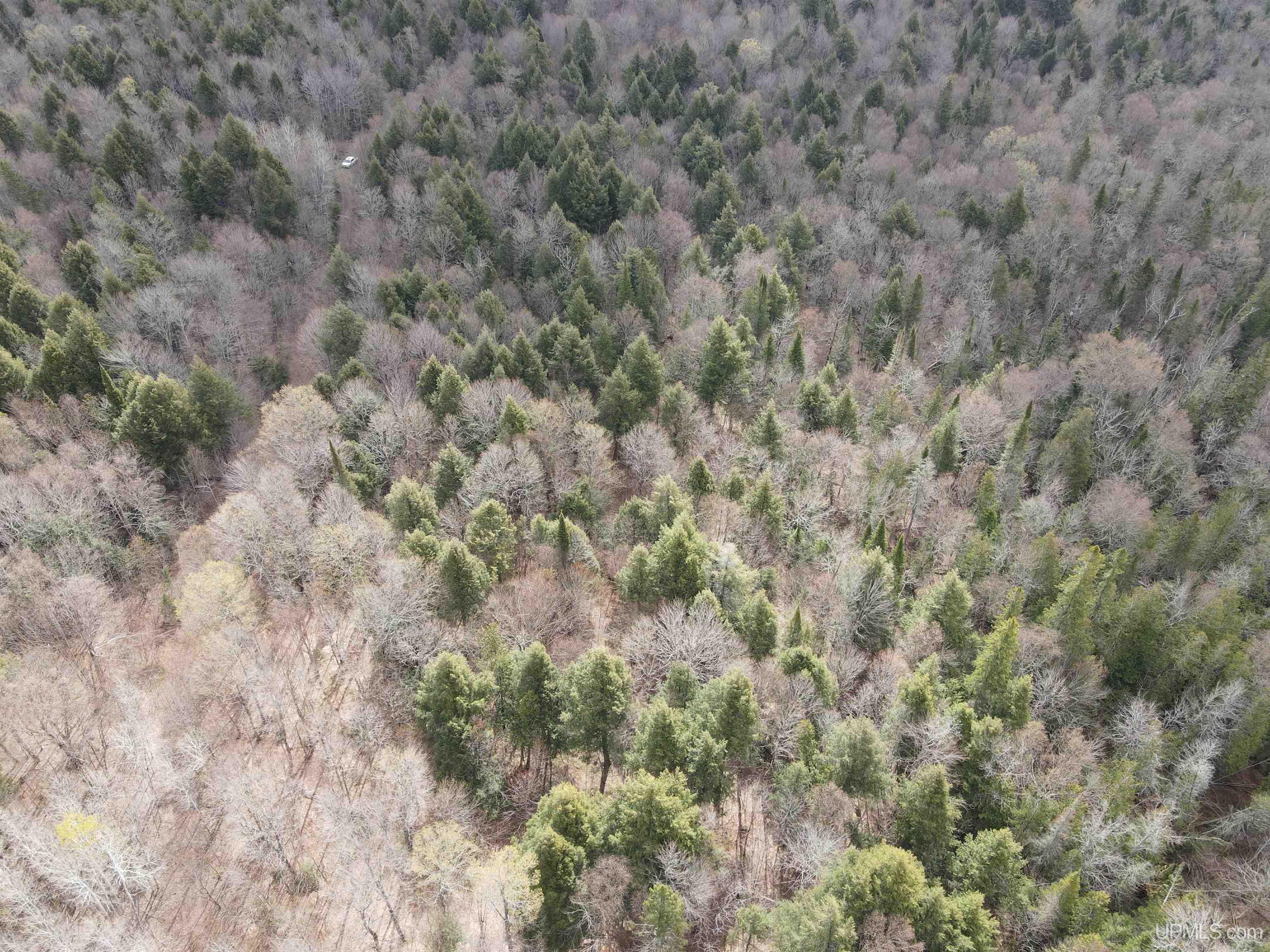 Off Black River Road Ironwood, MI 49938 - Photo 29 of 31