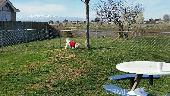 21621 Sandia Road, Unit 159 Apple Valley, CA 92308 - Photo 32 of 43 COMMUNITY OFF LEASH DOG PARK