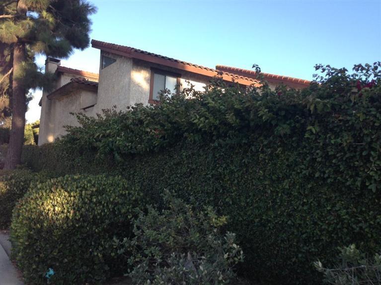 342 East Bard Road, Unit 342 Oxnard, CA 93033 - Photo 6 of 10 Additional Photo