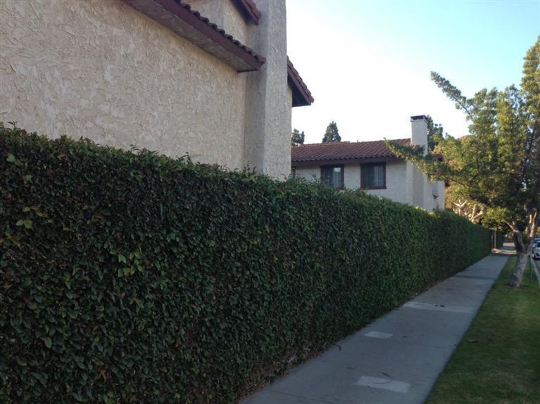 342 East Bard Road, Unit 342 Oxnard, CA 93033 - Photo 10 of 10 Additional Photo