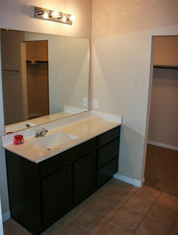 5721 Roderick Drive Austin, TX 78724 - Photo 8 of 26 Bathroom featuring a walk in closet and vanity