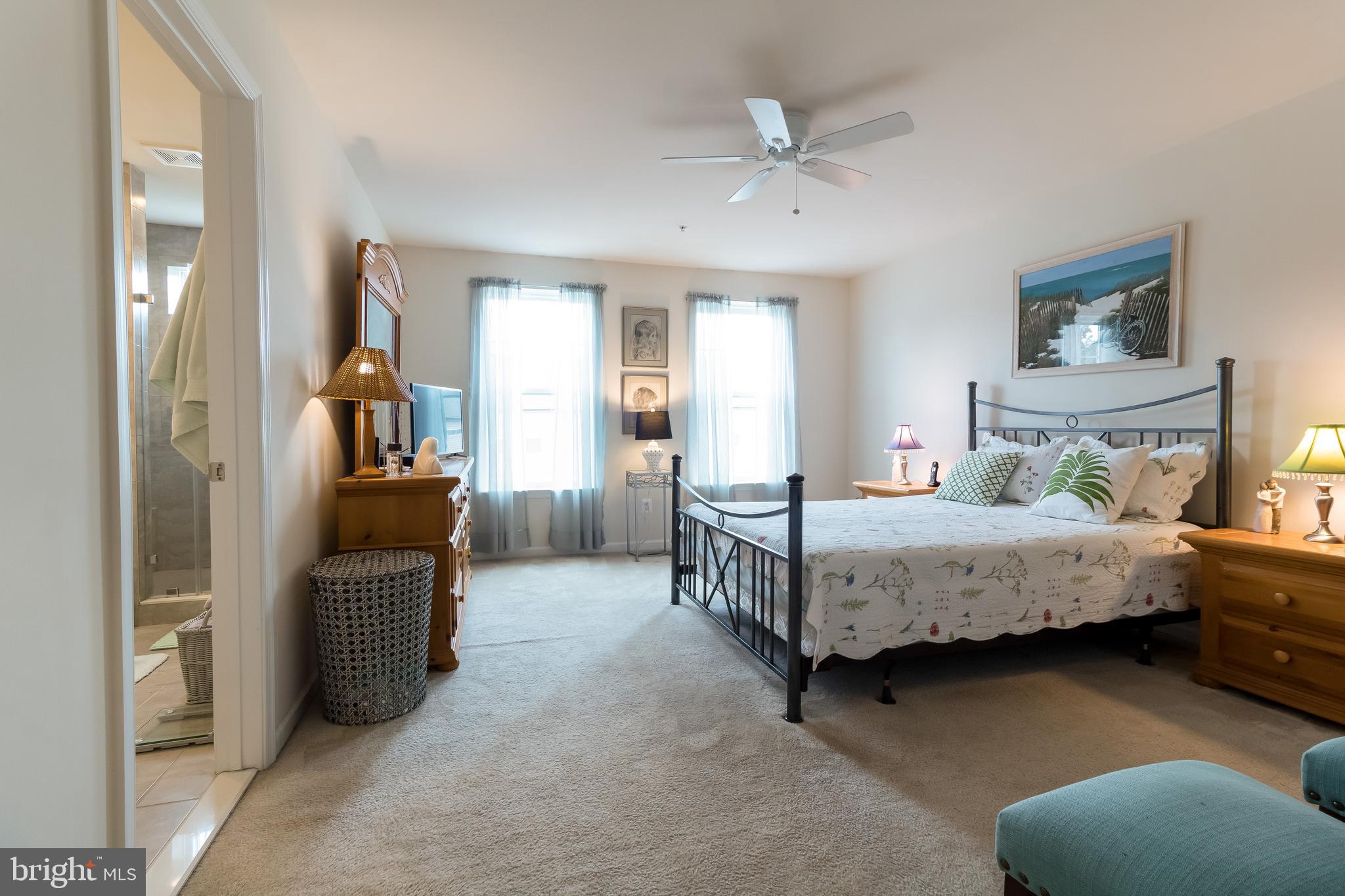 8414 Pine Bluff Road Frederick, MD 21704 - Photo 18 of 32 Ceiling Fan and large windows