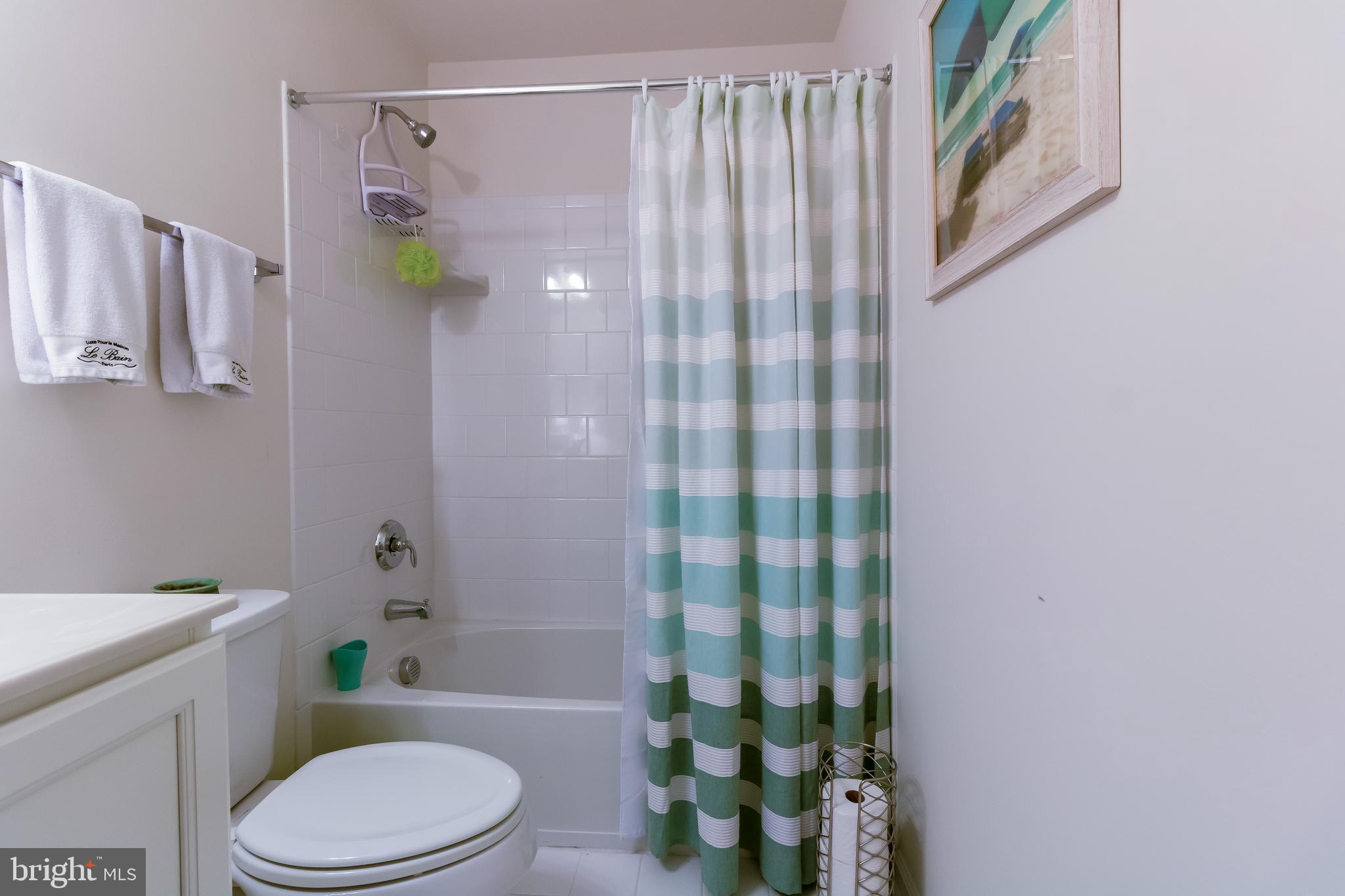 8414 Pine Bluff Road Frederick, MD 21704 - Photo 26 of 32 Hallway bath
