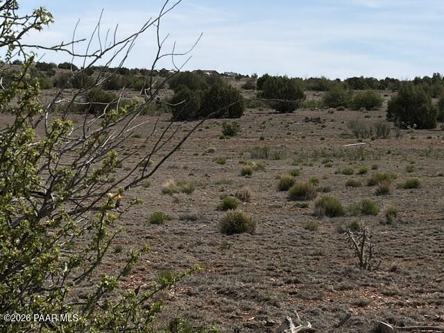 363- Via Dolorosa Road Seligman, AZ 86337 - Photo 6 of 6 a view of a dry yard with green space