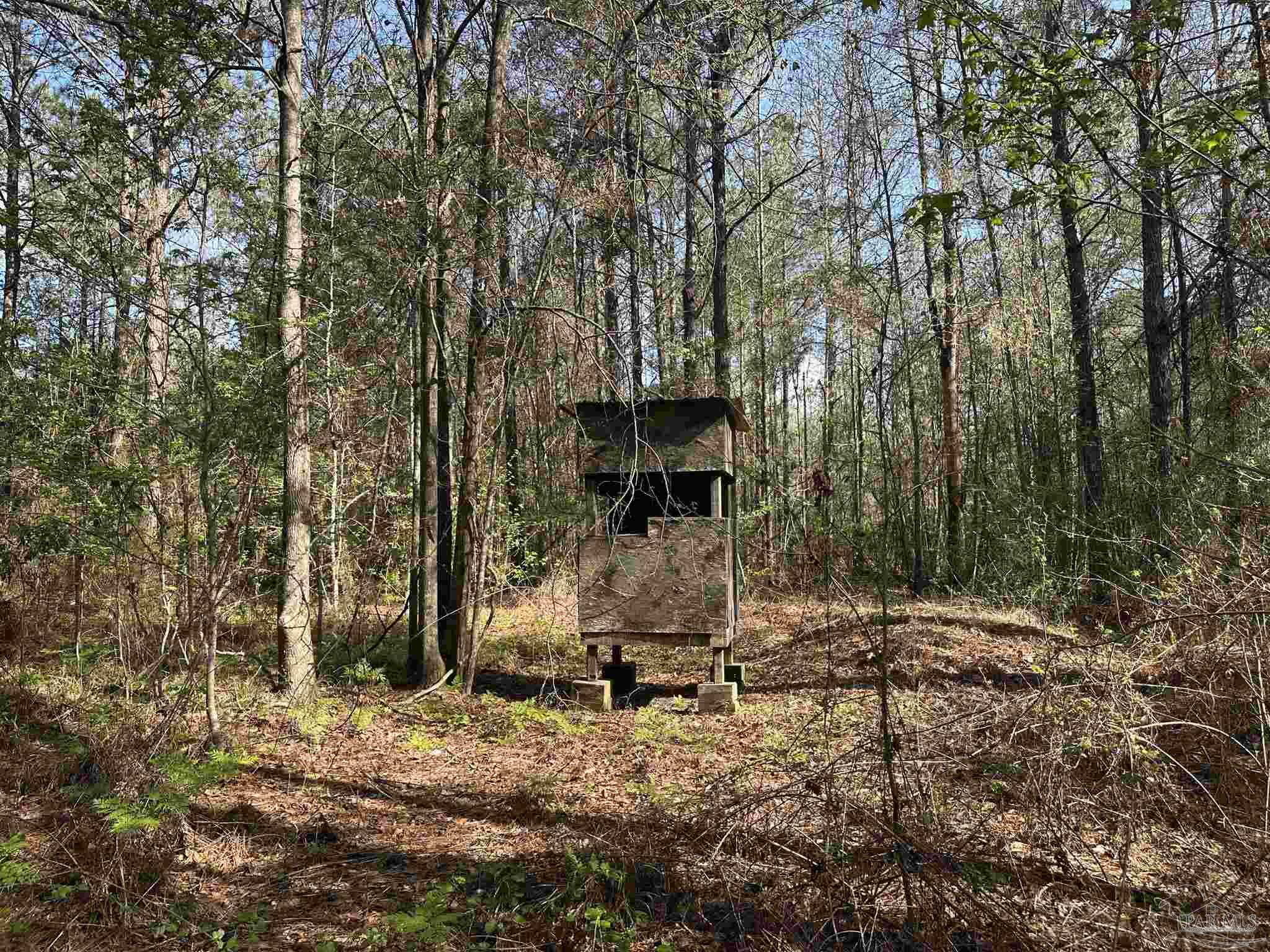 15-ac Snyder Road Frisco City, AL 36445 - Photo 19 of 22