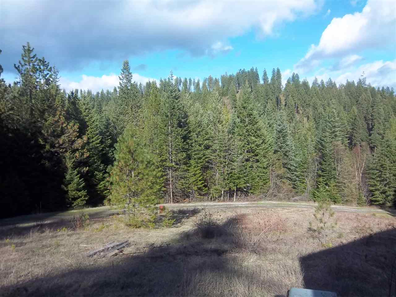 Xxx North Travis Road Mead, WA 99021 - Photo 1 of 10