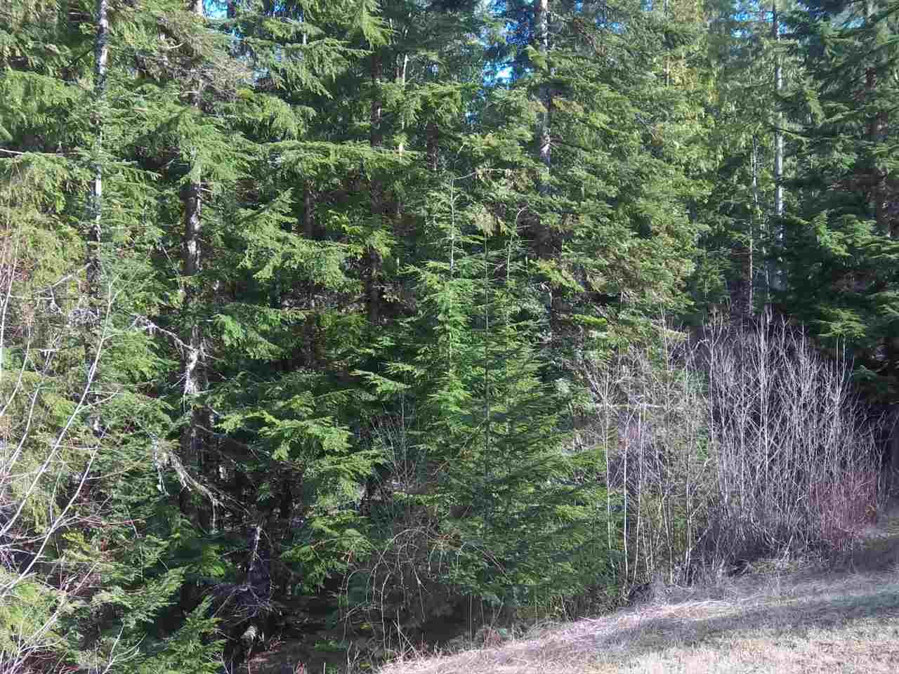 Xxx North Travis Road Mead, WA 99021 - Photo 2 of 10