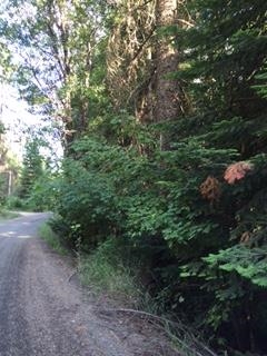 Xxx North Travis Road Mead, WA 99021 - Photo 10 of 10