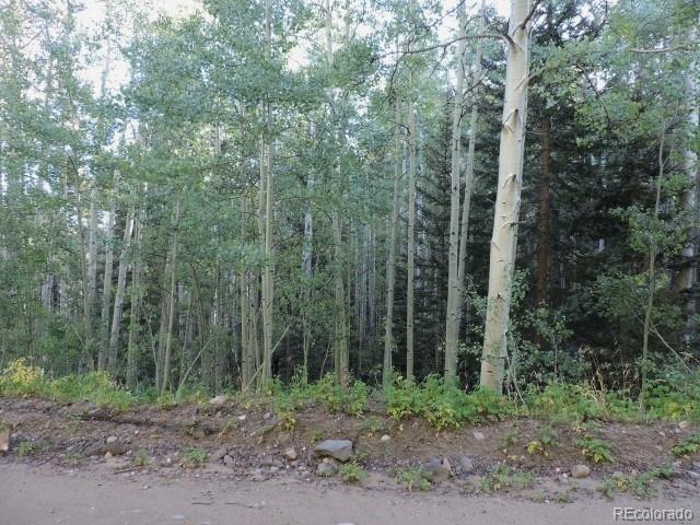 5366 Sleger Road Fort Garland, CO 81133 - Photo 7 of 34 Gallery Image 7