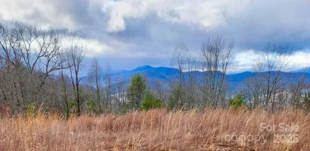 $275,000 | 255 Clearview Lane, Unit 12, Marshall, NC 28753