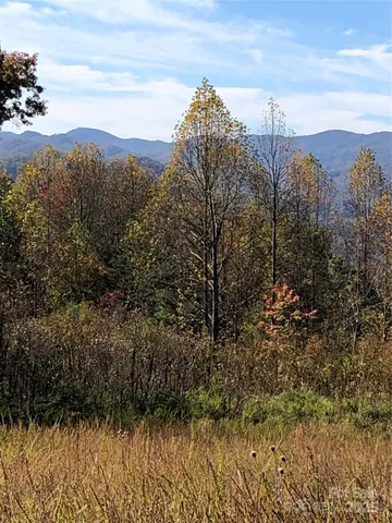 $275,000 | 255 Clearview Lane, Unit 12, Marshall, NC 28753