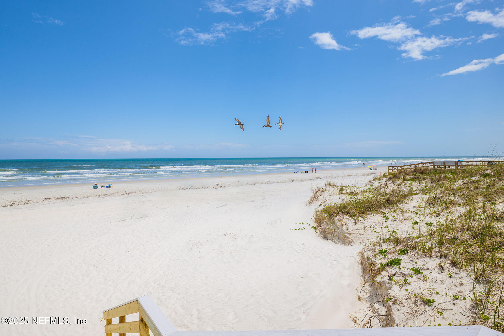 335 Riberia Street St. Augustine, FL 32084 - Photo 41 of 41 SA.APP-16