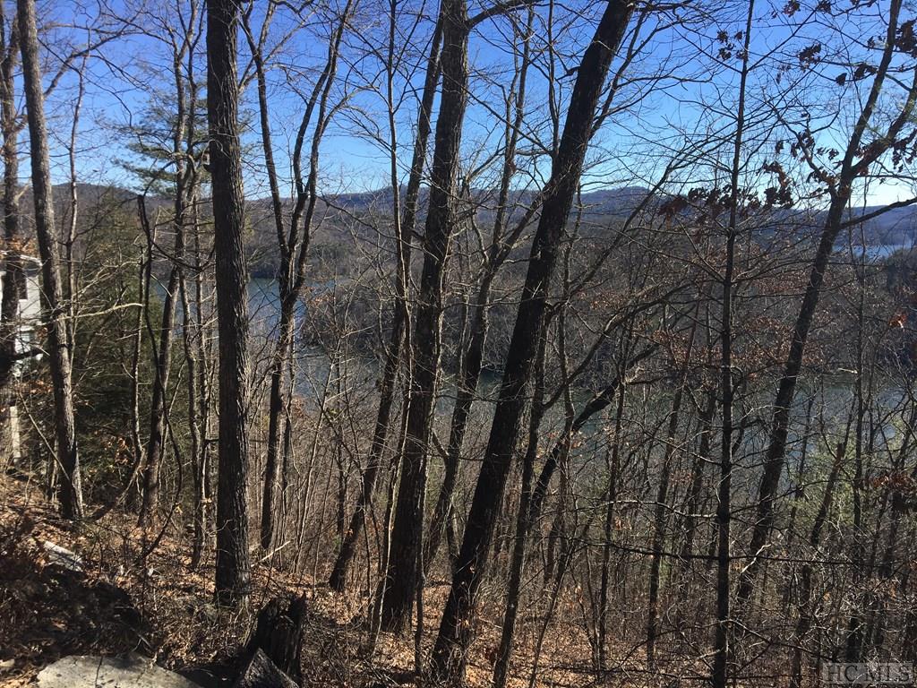Tbd Strawberry Hill Road Cullowhee, NC 28723 - Photo 9 of 27 Gallery Image 9