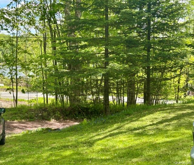 5 Lake Muskoday Road Roscoe, NY 12776 - Photo 2 of 8 View of the lake from property