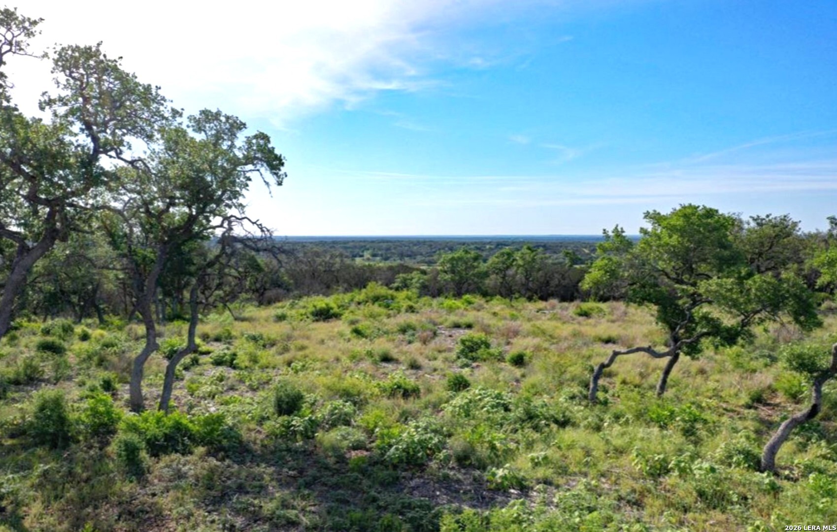 194 Crescent Ridge Hondo, TX 78861 - Photo 5 of 6