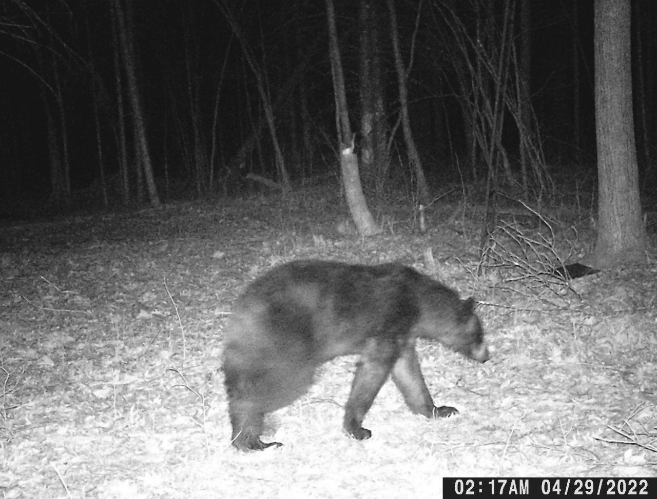 Off Walnut Road Kennan, WI 54537 - Photo 5 of 24 Gallery Image 5