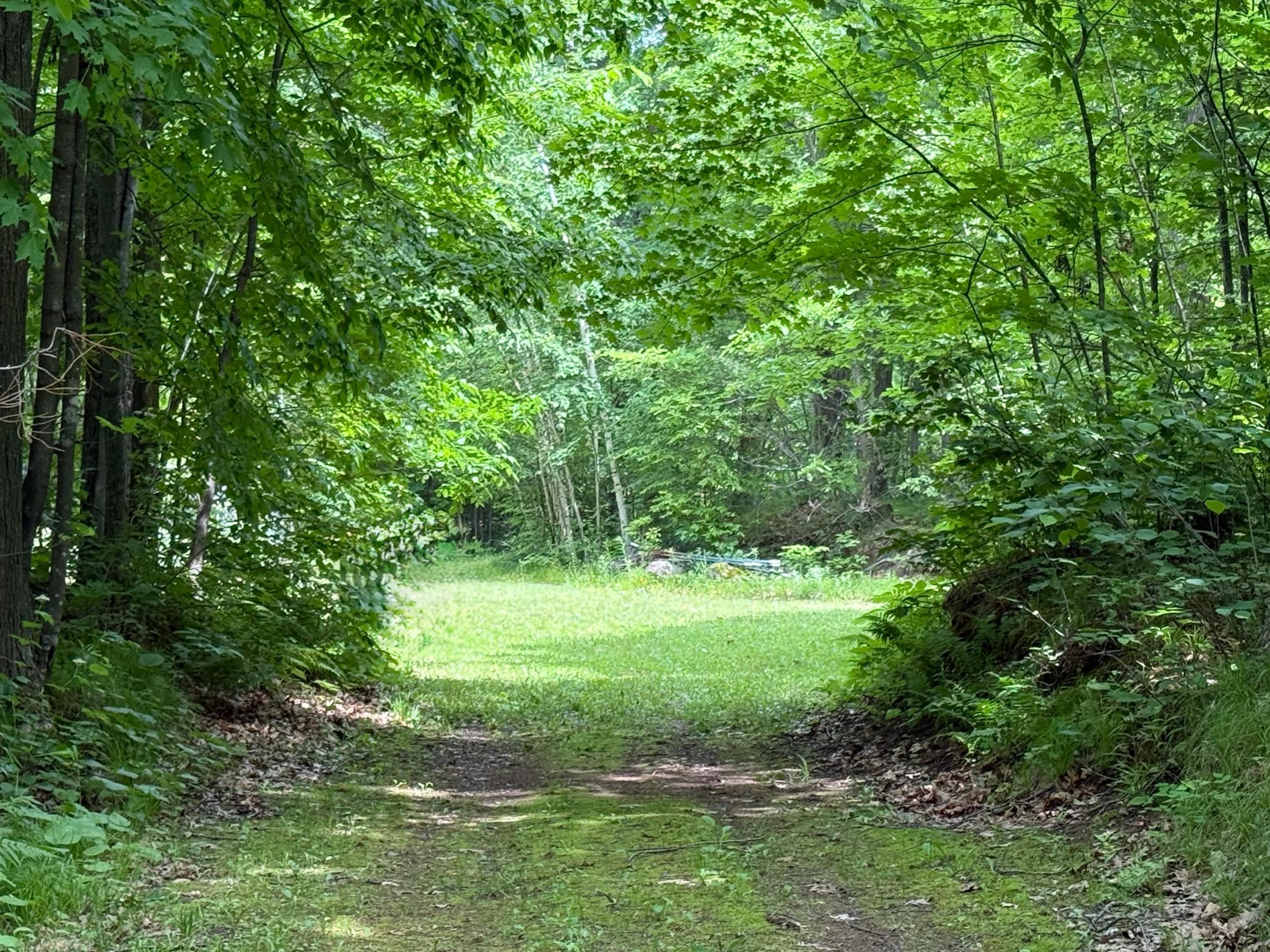 N1785 Leaman Lake Road Shell Lake, WI 54871 - Photo 60 of 63