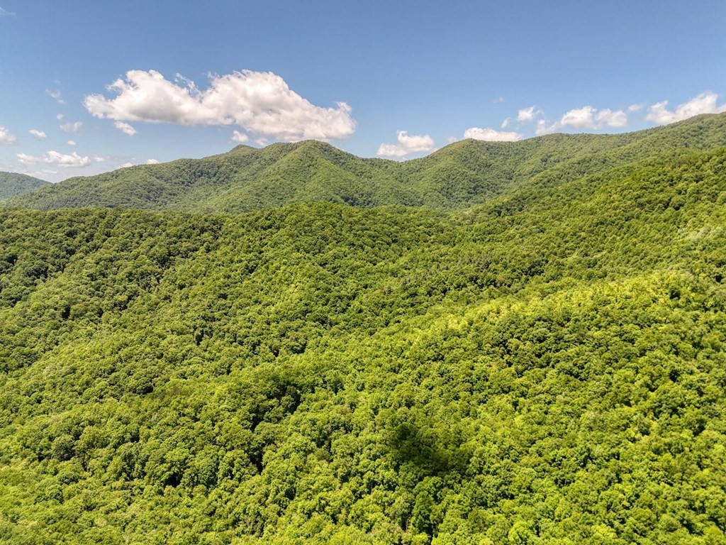 779 Grindstone Road Murphy, NC 28906 - Photo 11 of 18