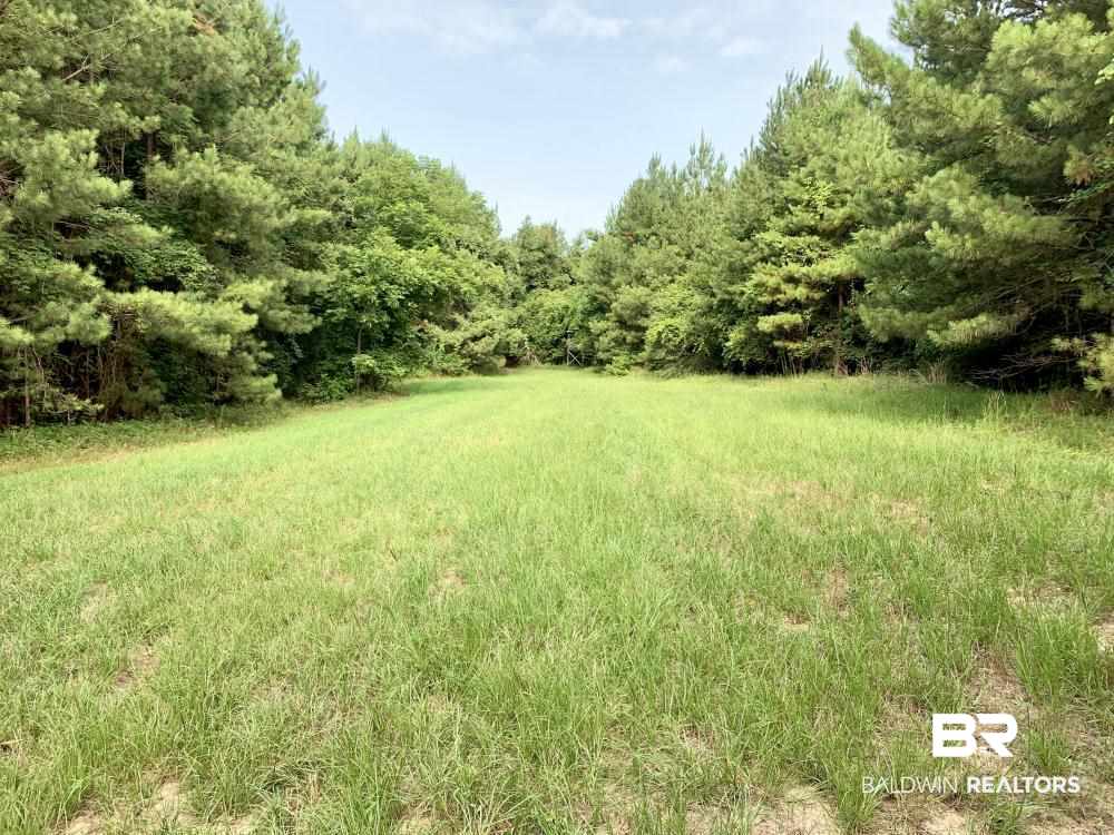 0 Country Road Uriah, AL 36480 - Photo 5 of 49