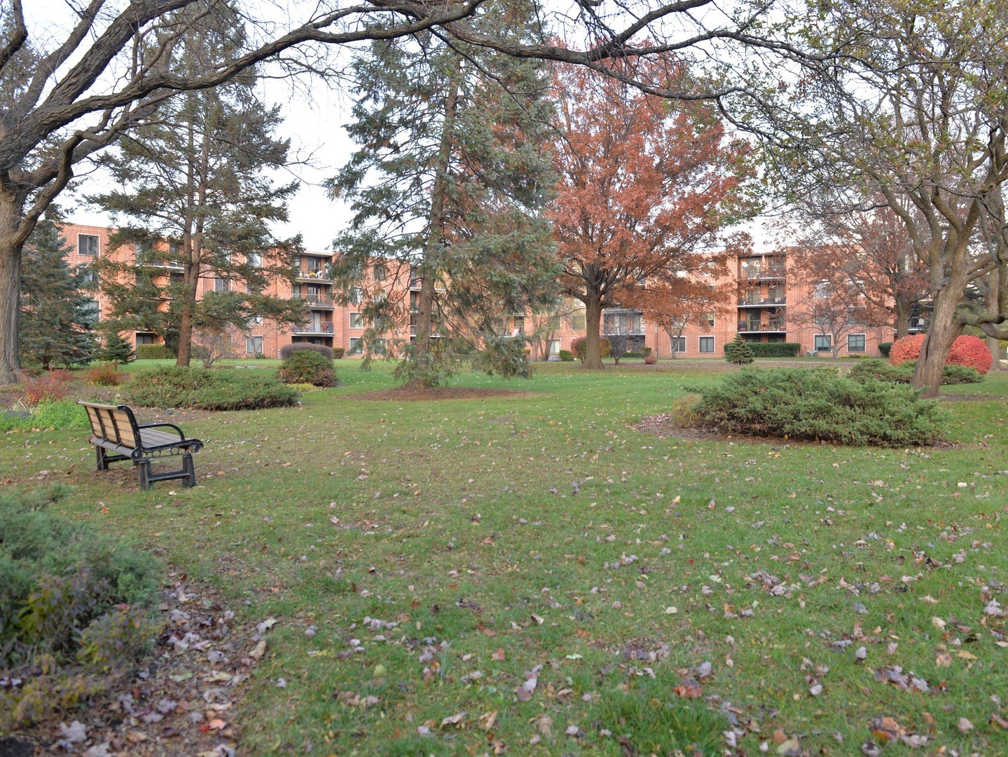 1605 East Central Road, Unit 203A Arlington Heights, IL 60005 - Photo 11 of 11 a view of a garden with a tree