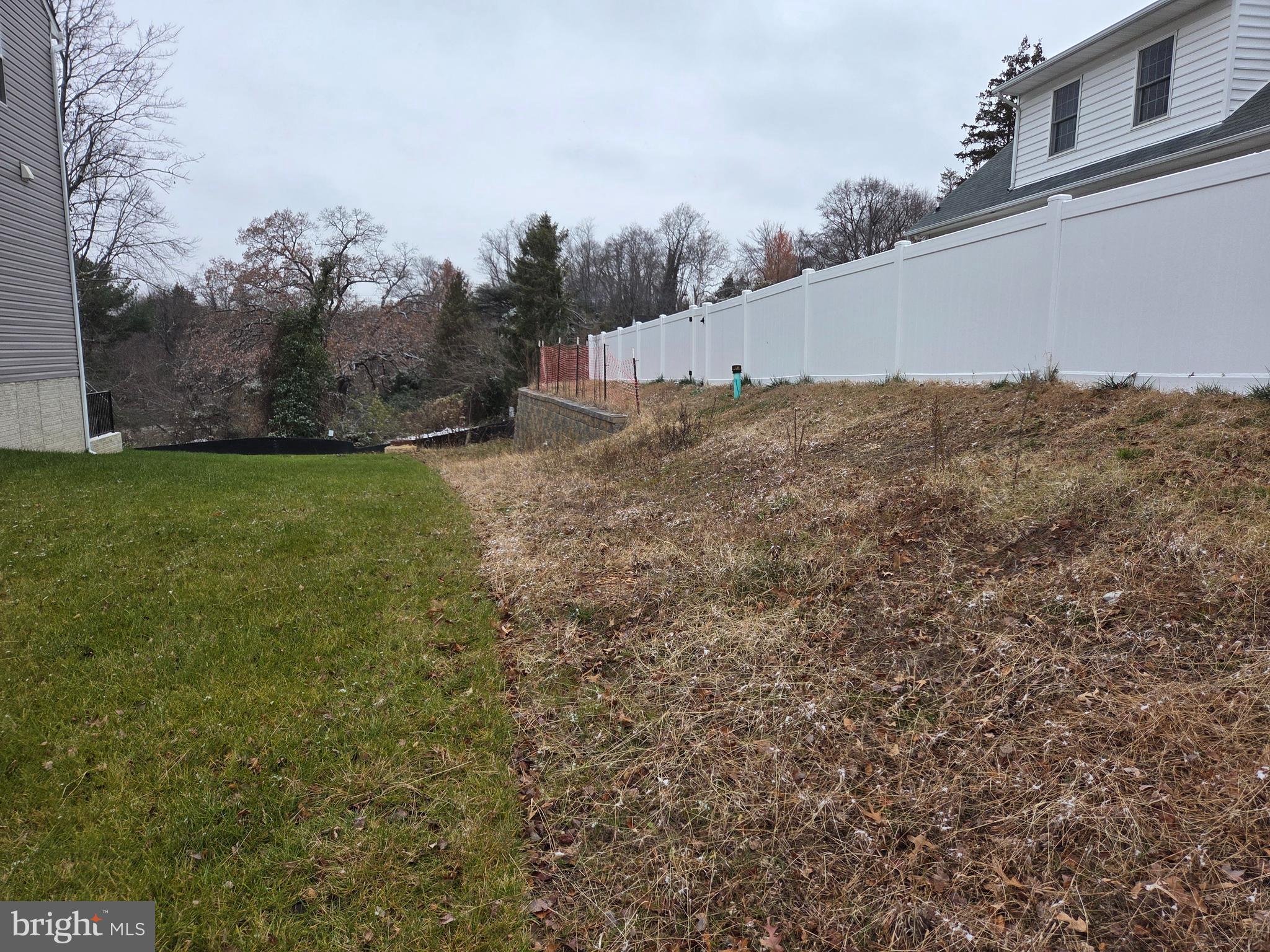 a view of a dry yard with trees