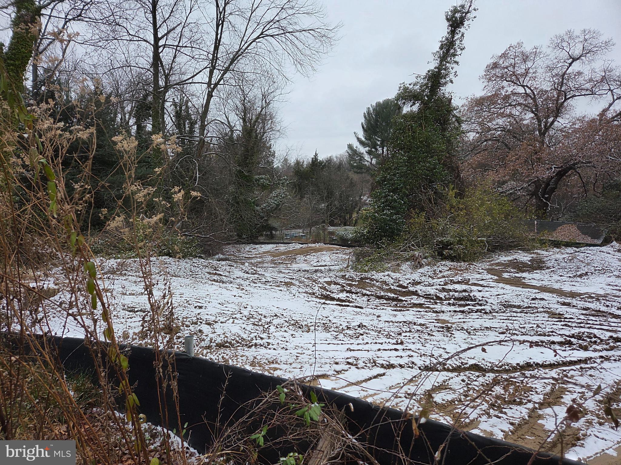 4231 Plumer Avenue Baltimore, MD 21236 - Photo 2 of 2 a view of a dry yard with trees