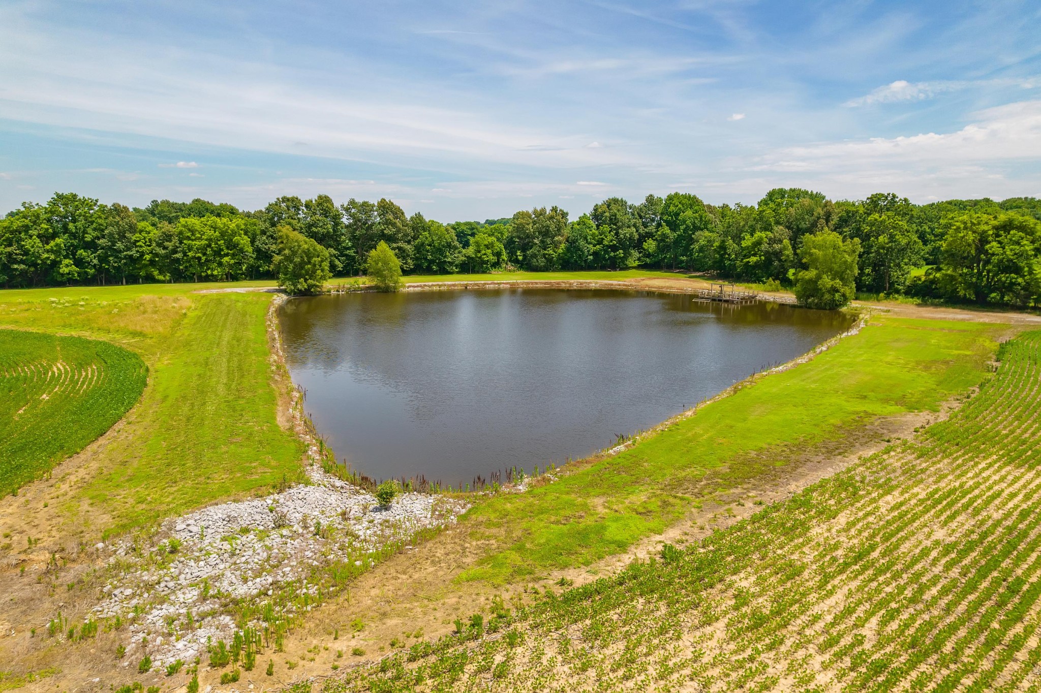 4996 Arch Thompson Road Union City, TN 38261 - Photo 3 of 13