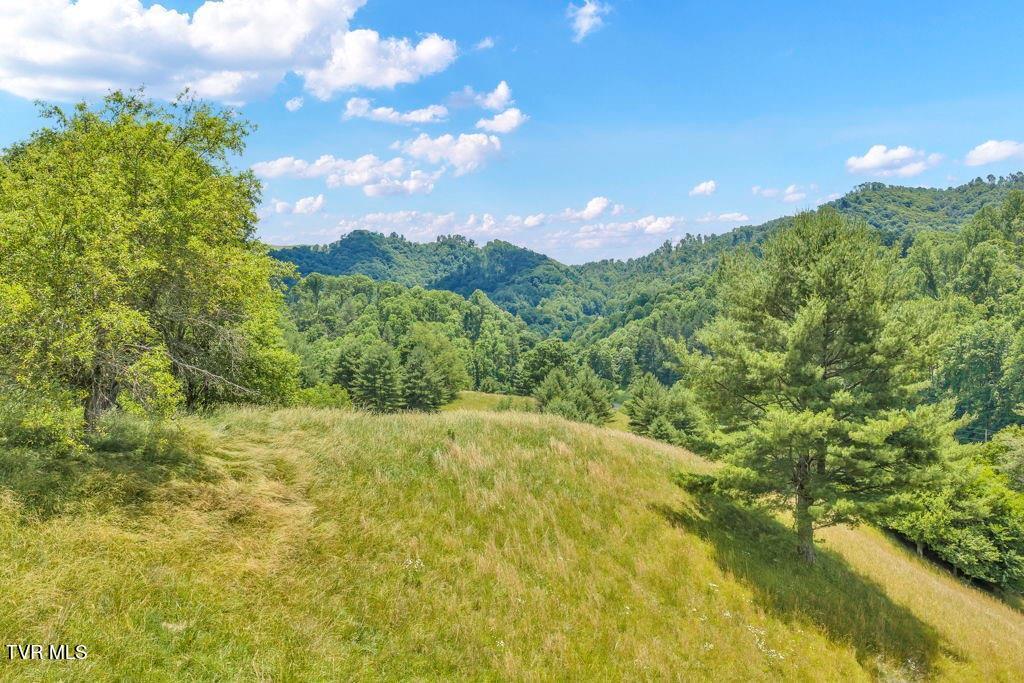 150 Fred Price Road Mountain City, TN 37683 - Photo 18 of 35 20