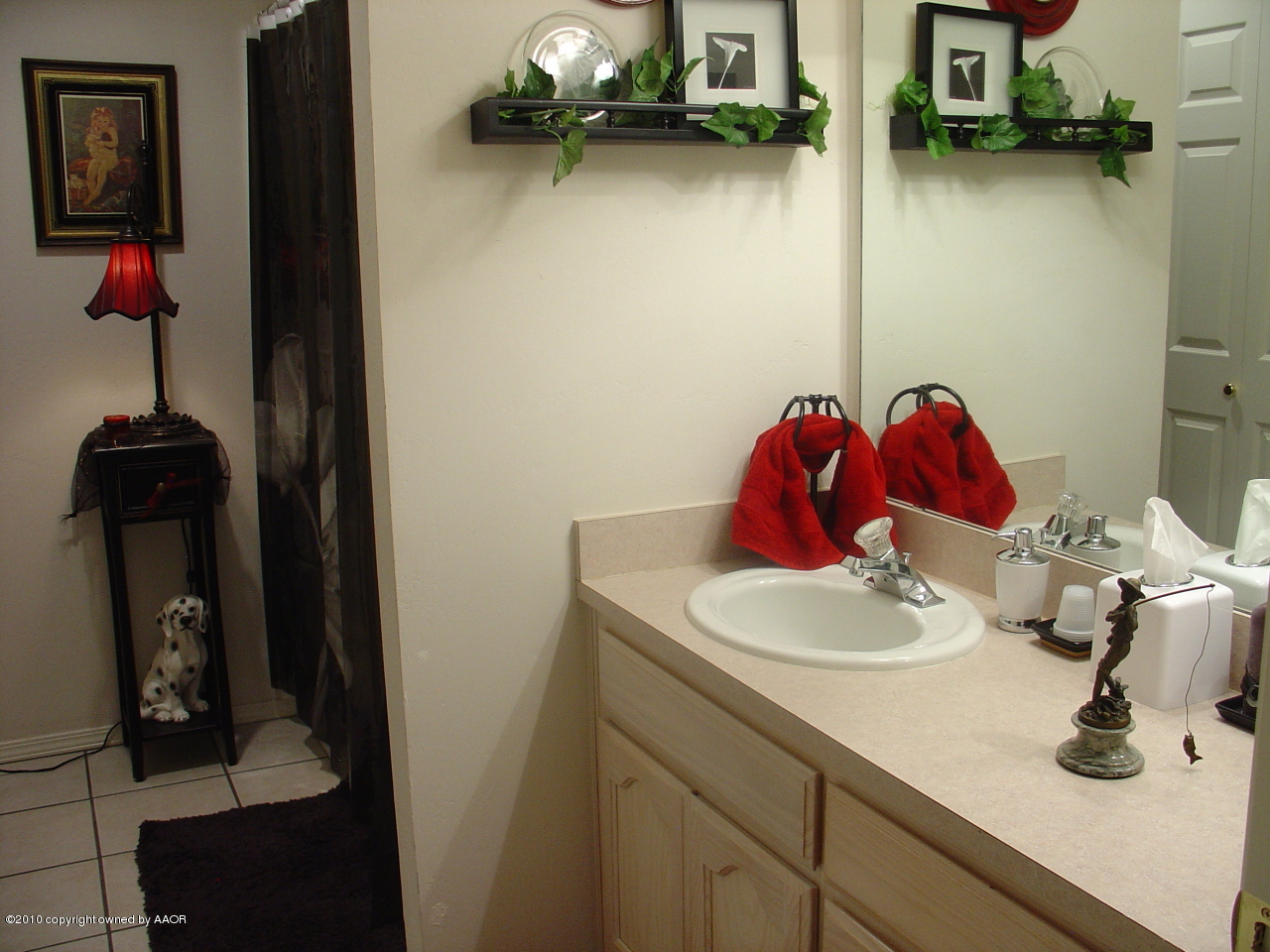 7002 Thunder Road Amarillo, TX 79119 - Photo 18 of 19 Hall Bath